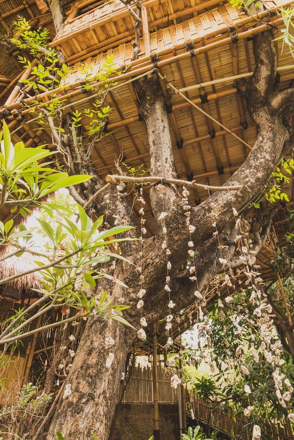 Eco Tree House Amed Hotel Bali Ngoại thất bức ảnh