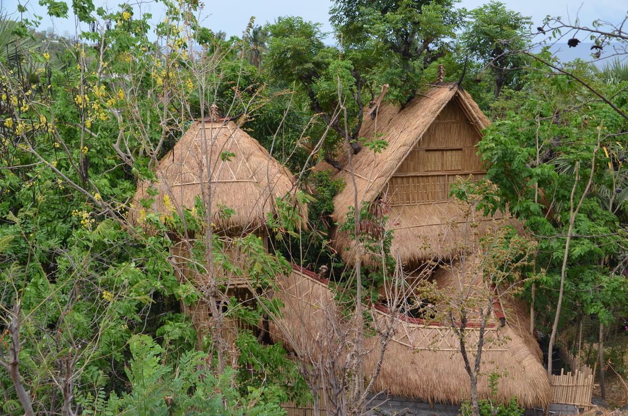 Eco Tree House Amed Hotel Bali Ngoại thất bức ảnh