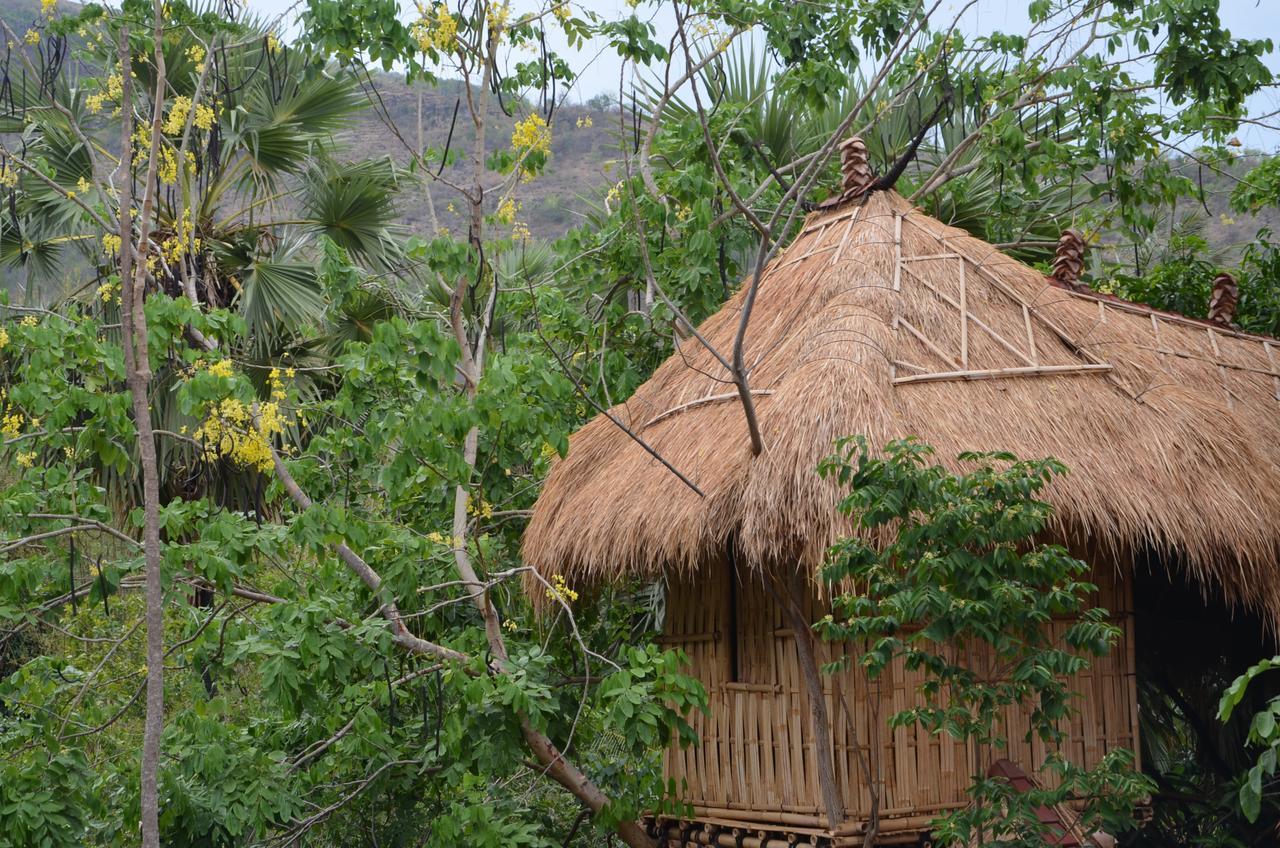 Eco Tree House Amed Hotel Bali Ngoại thất bức ảnh